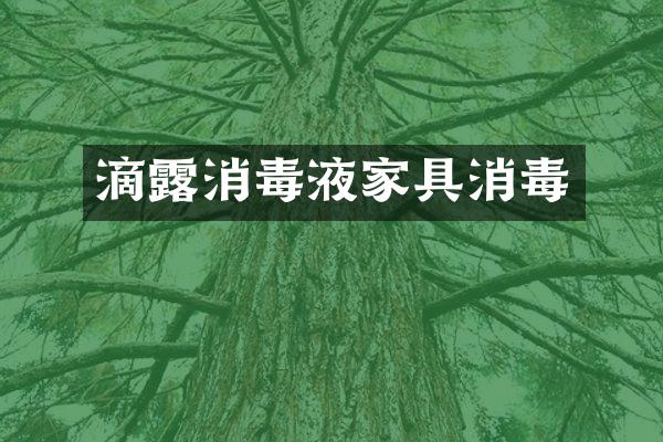 滴露消毒液家具消毒
