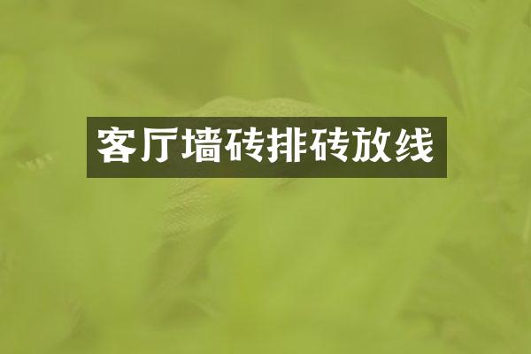 客厅墙砖排砖放线