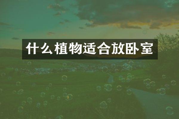 什么植物适合放卧室