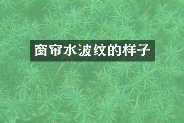 窗帘水波纹的样子