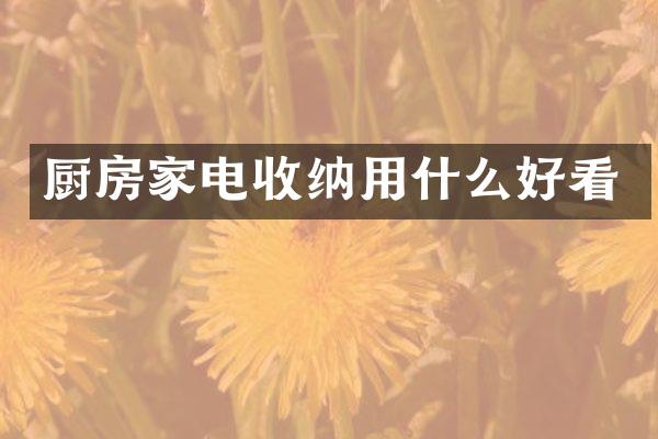 厨房家电收纳用什么好看