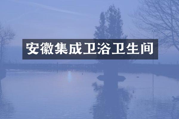 安徽集成卫浴卫生间