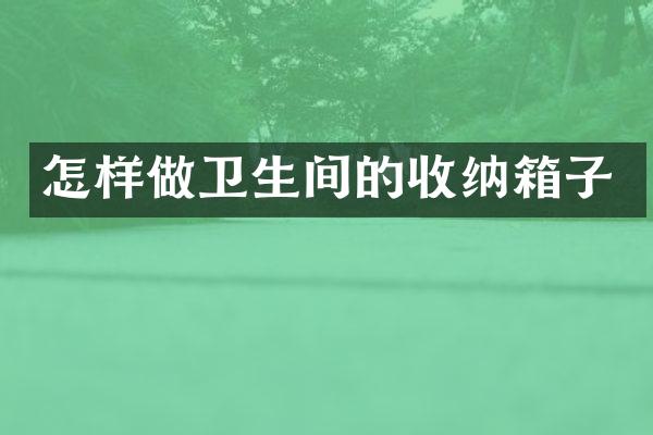 怎样做卫生间的收纳箱子