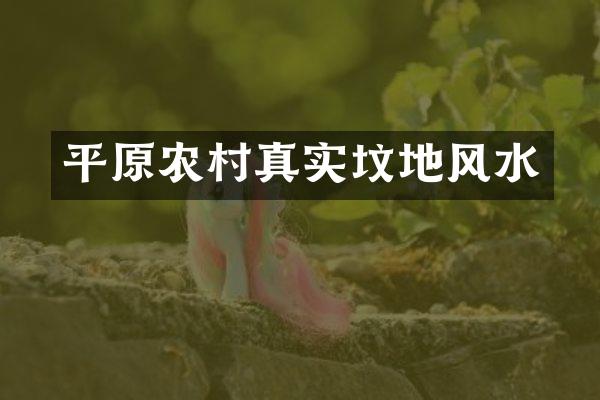 平原农村真实坟地风水