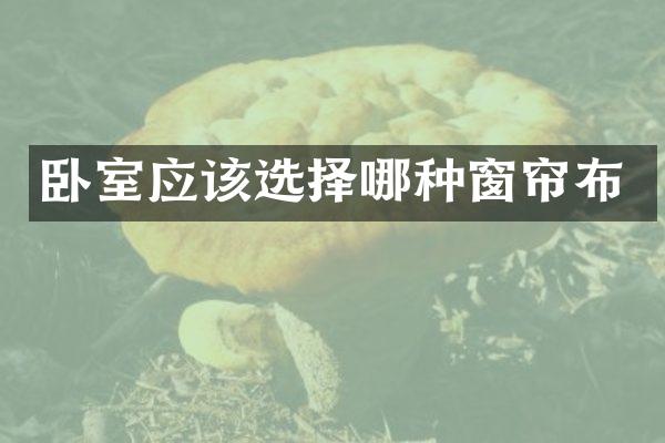 卧室应该选择哪种窗帘布