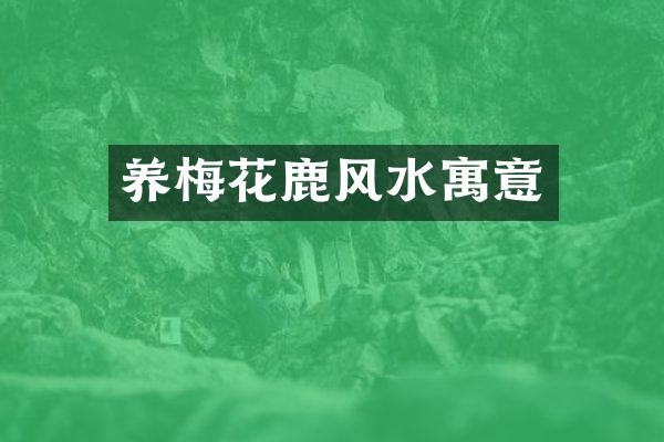 养梅花鹿风水寓意
