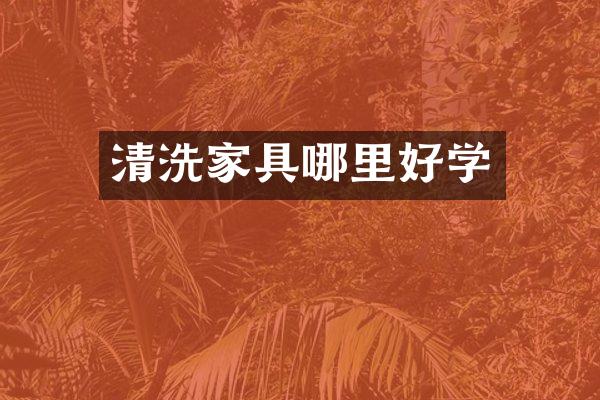 清洗家具哪里好学