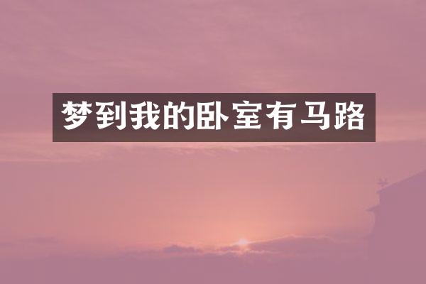 梦到我的卧室有马路