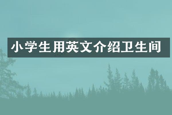 小学生用英文介绍卫生间