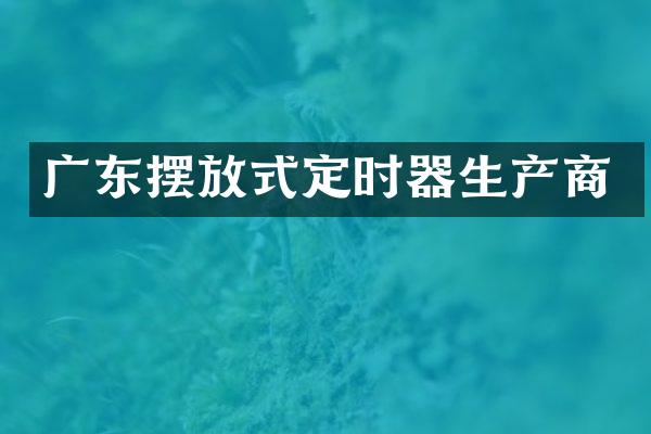 广东摆放式定时器生产商