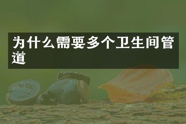 为什么需要多个卫生间管道