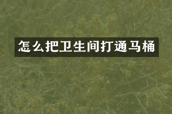 怎么把卫生间打通马桶