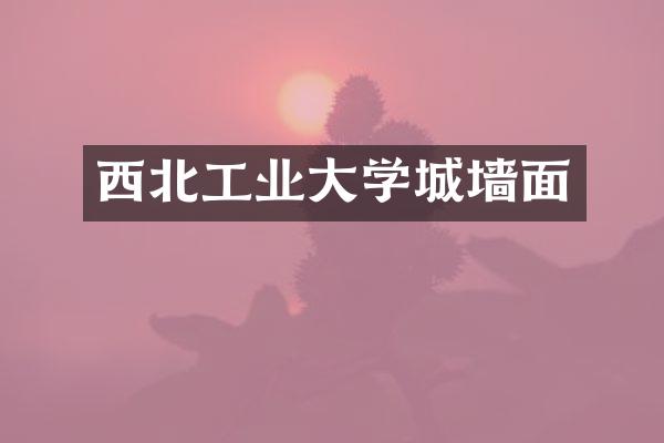 西北工业大学城墙面