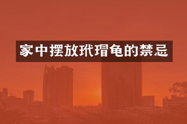 家中摆放玳瑁龟的禁忌