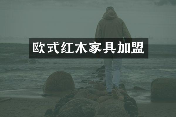 欧式红木家具加盟