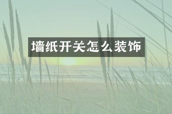 墙纸开关怎么装饰