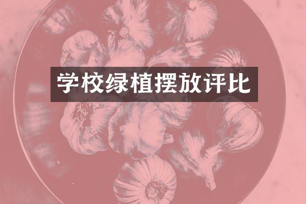 学校绿植摆放评比