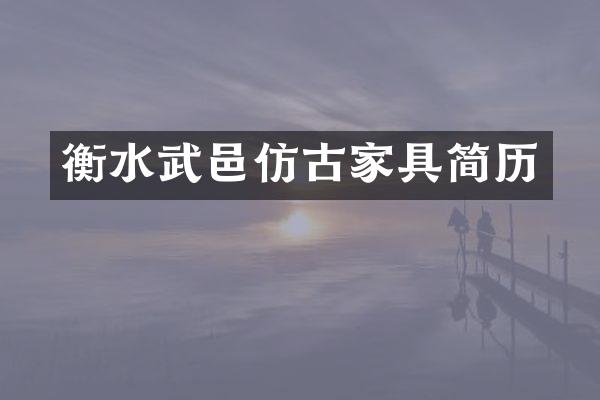 衡水武邑仿古家具简历