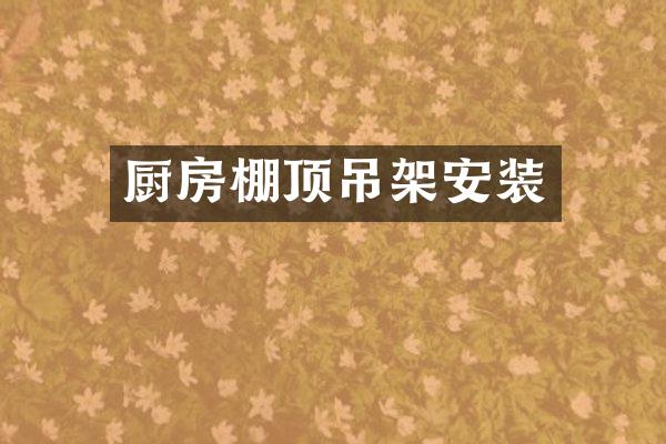 厨房棚顶吊架安装