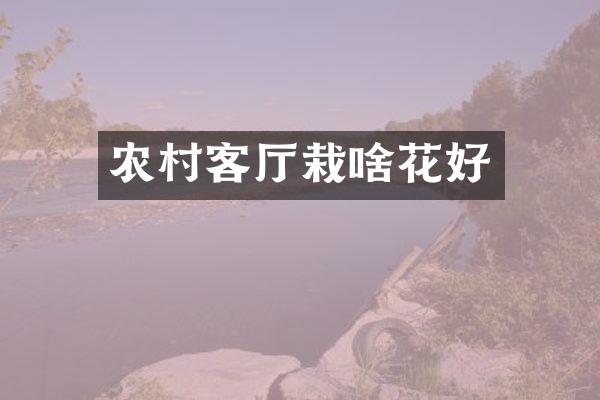 农村客厅栽啥花好