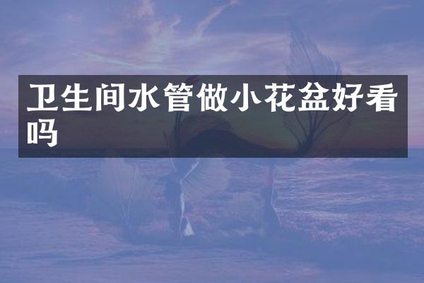 卫生间水管做小花盆好看吗