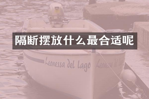 隔断摆放什么最合适呢
