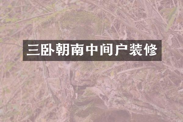 三卧朝南中间户装修
