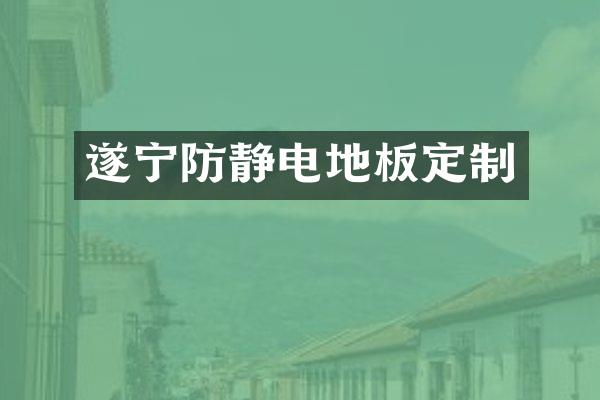 遂宁防静电地板定制