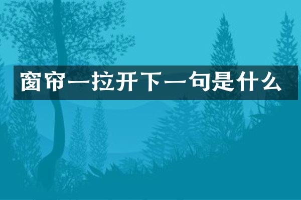 窗帘一拉开下一句是什么
