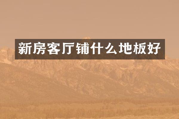 新房客厅铺什么地板好