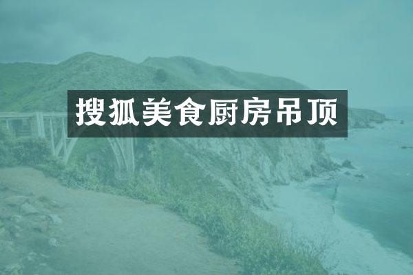 搜狐美食厨房吊顶