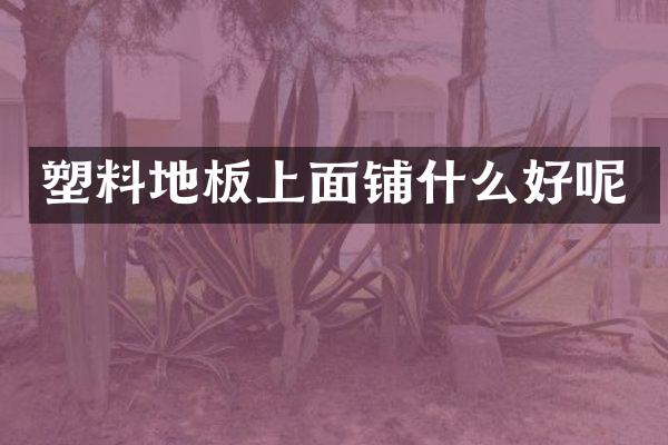 塑料地板上面铺什么好呢
