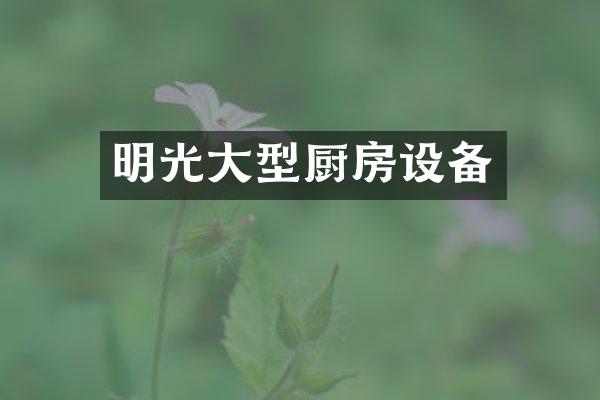 明光大型厨房设备