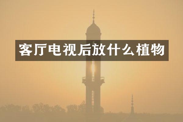 客厅电视后放什么植物