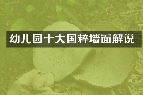 幼儿园十大国粹墙面解说
