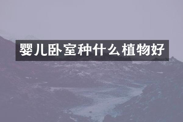 婴儿卧室种什么植物好