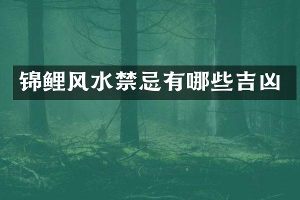 锦鲤风水禁忌有哪些吉凶
