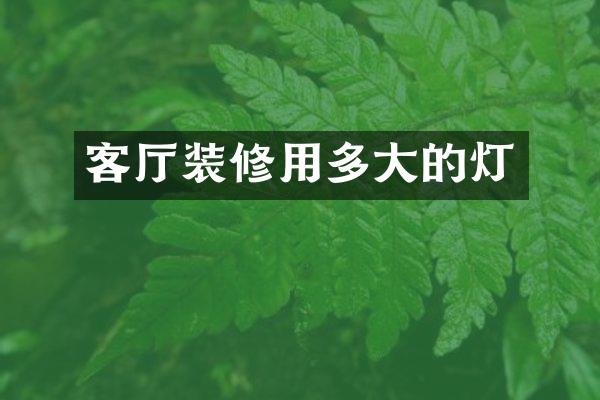 客厅装修用多大的灯