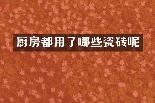 厨房都用了哪些瓷砖呢