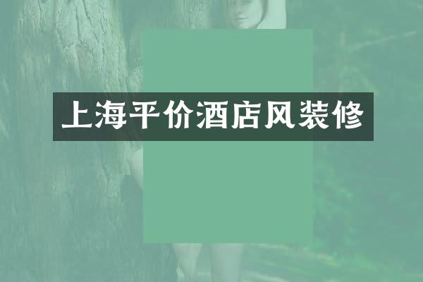 上海平价酒店风装修