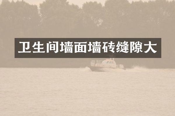 卫生间墙面墙砖缝隙大