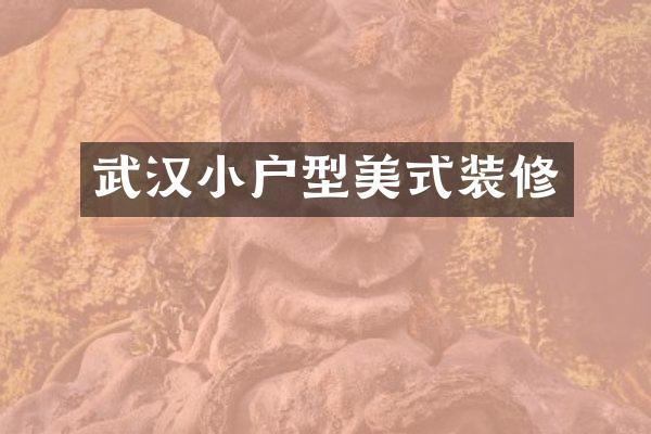 武汉小户型美式装修