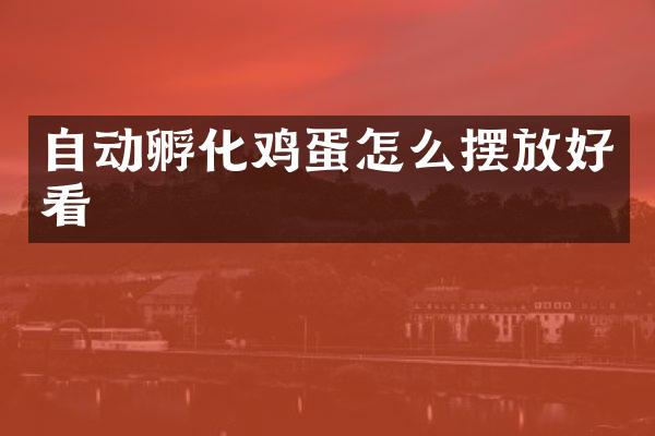 自动孵化鸡蛋怎么摆放好看