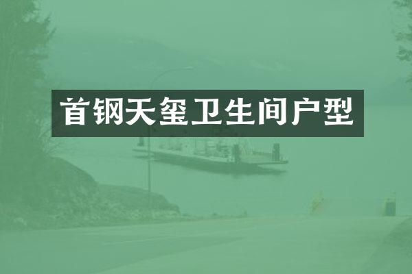 首钢天玺卫生间户型