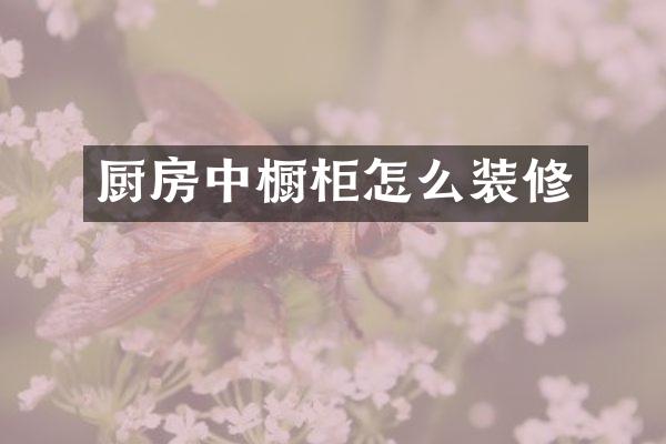 厨房中橱柜怎么装修