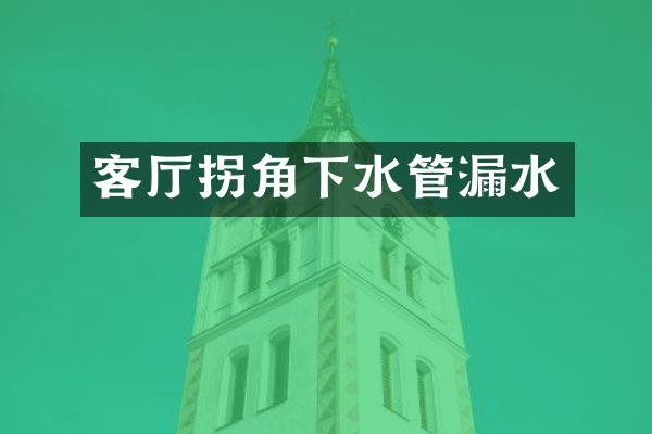客厅拐角下水管漏水