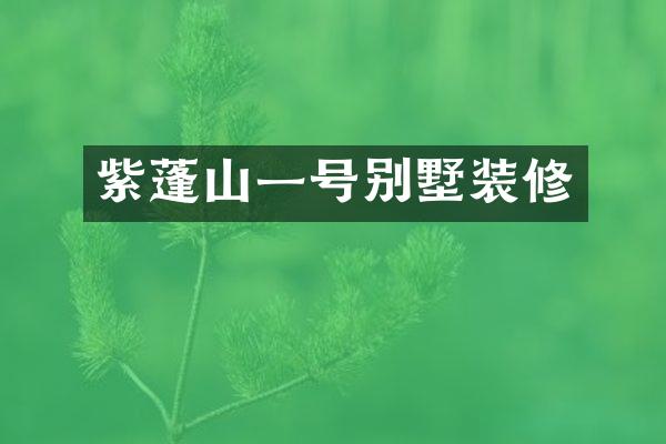 紫蓬山一号别墅装修
