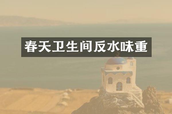春天卫生间反水味重