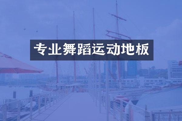 专业舞蹈运动地板