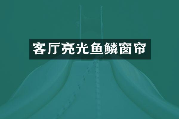 客厅亮光鱼鳞窗帘